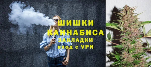 mdpv Богородск
