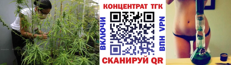 закладки  Каневская  Дистиллят ТГК концентрат 