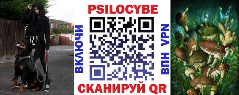 Галлюциногенные грибы Psilocybine cubensis  Каневская 
